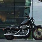 Harley 1200 Nightster