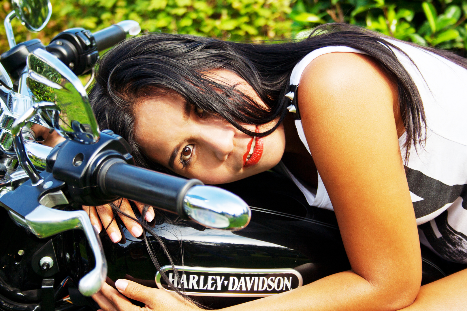 Harley 3