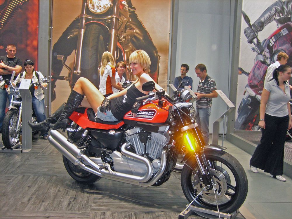 Harley ...