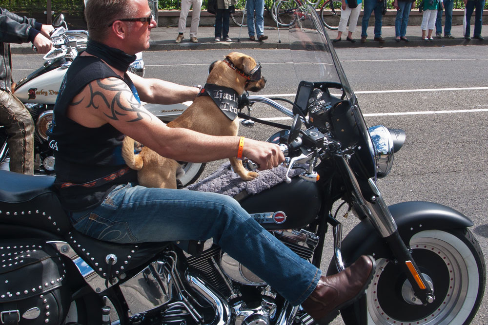 Harley Ausfahrt im Rheingau von Juergen W. 