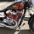 Harley bei den ersten Sonnenstrahlen