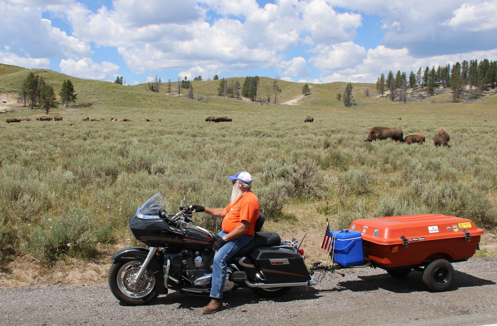 Harley, Biker, Bison - American idols