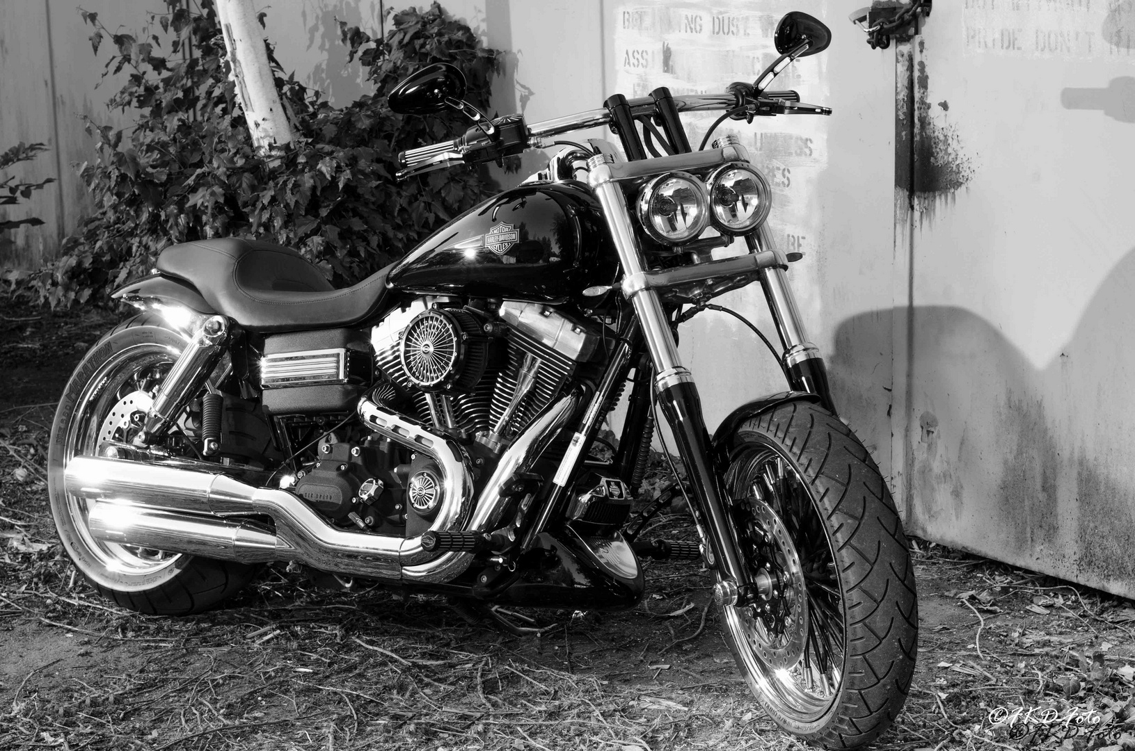 Harley B&W - Die Sonne geht auf....