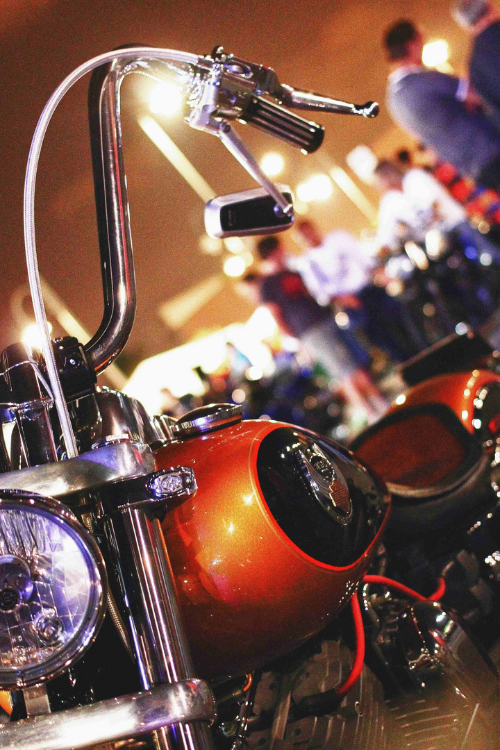 Harley Davidson 01