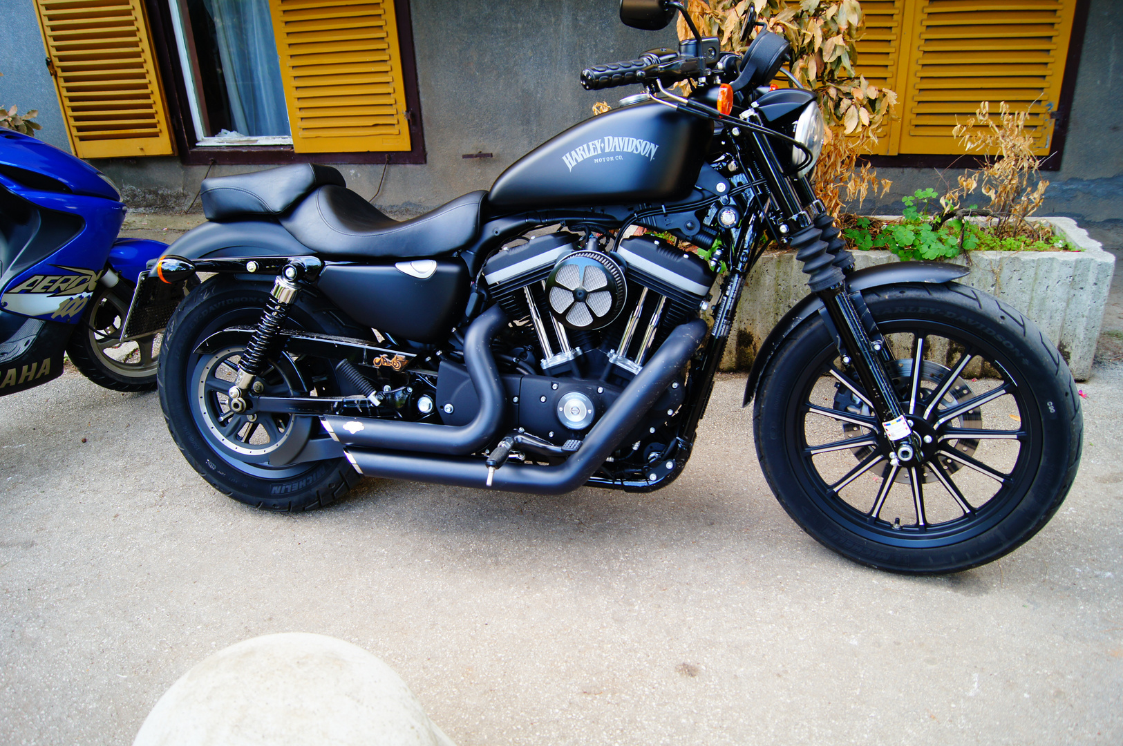 Harley Davidson