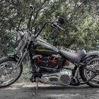 --- Harley Davidson ---