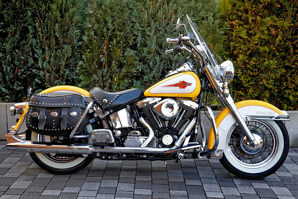 Harley Davidson 1