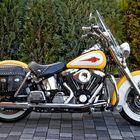 Harley Davidson 1