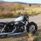 Harley Davidson 1200 Foty Eight