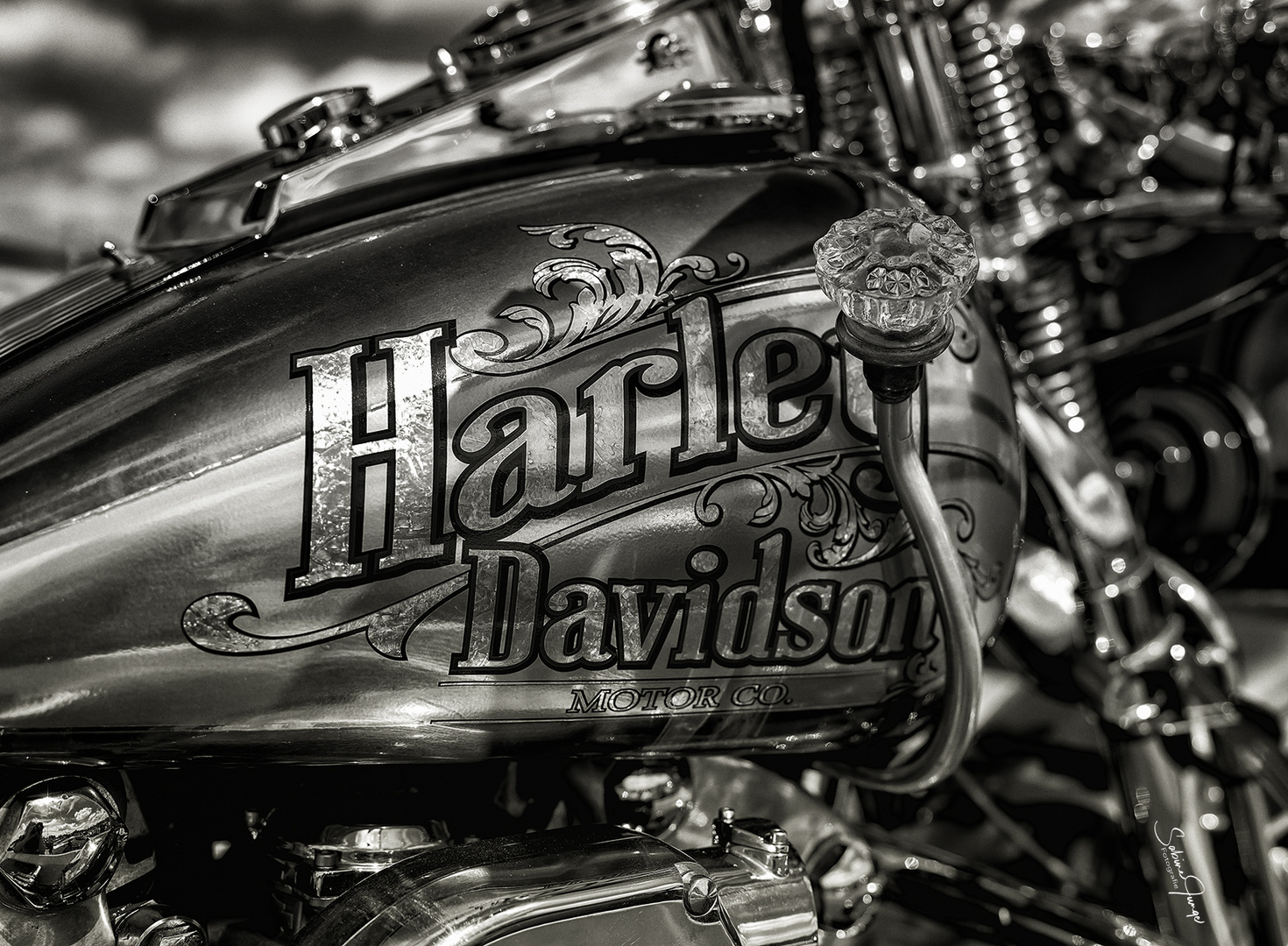 Harley Davidson