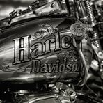 Harley Davidson