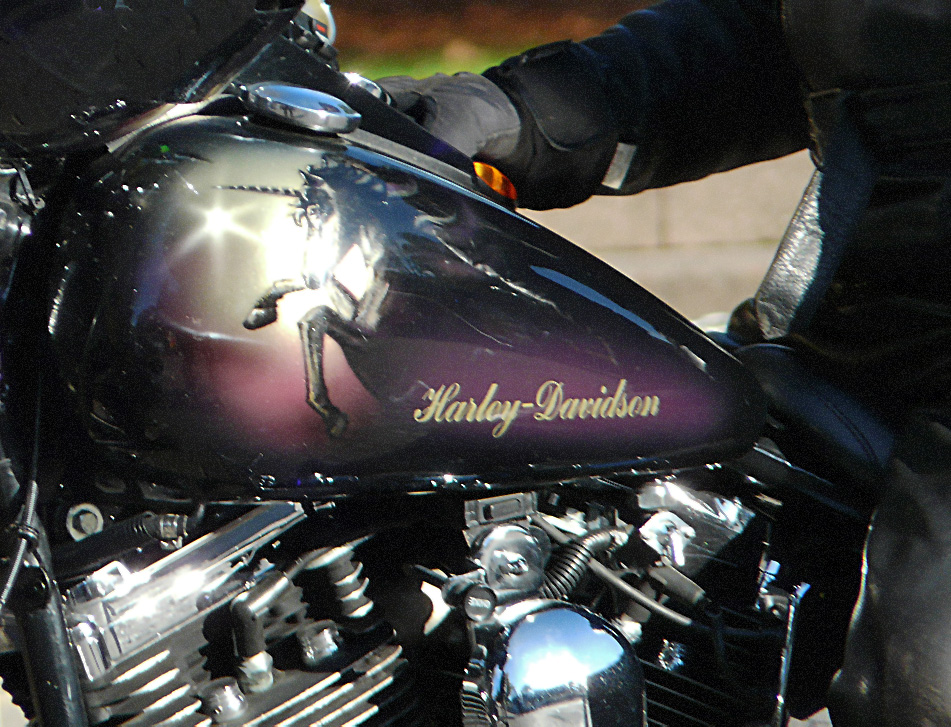 Harley Davidson (2)