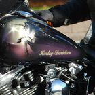 Harley Davidson (2)