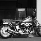 Harley Davidson 2