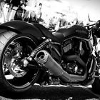 Harley Davidson