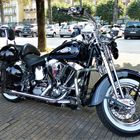 Harley Davidson