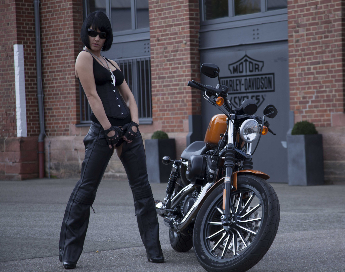 Harley Davidson 3