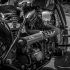 Harley Davidson 3