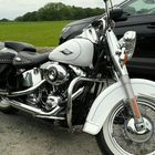 HARLEY DAVIDSON  -4-