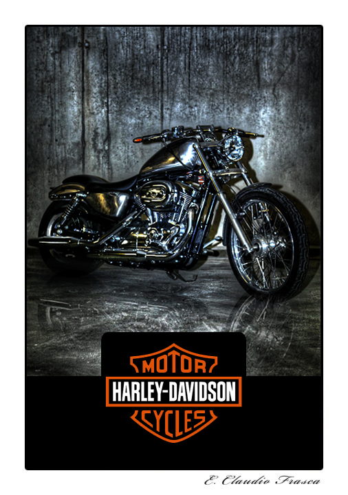 harley davidson