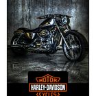 harley davidson