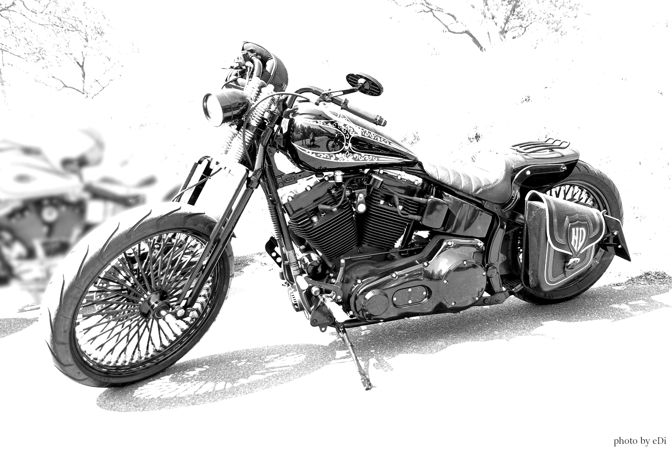 Harley-Davidson