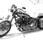 Harley-Davidson