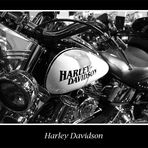 Harley Davidson