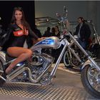 Harley Davidson