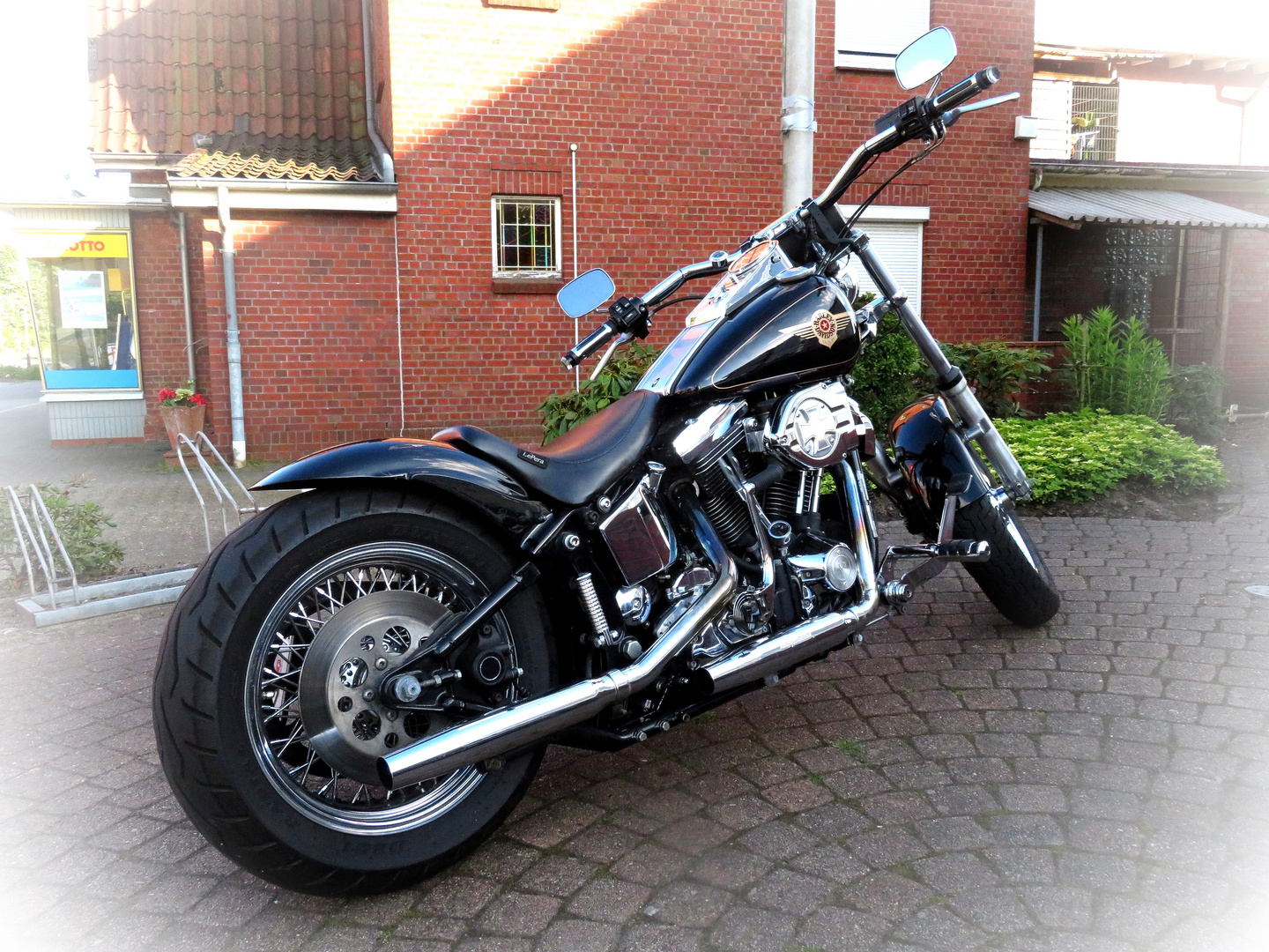   Harley Davidson  