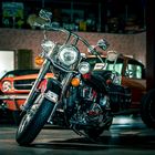 Harley Davidson Bike-Shooting I