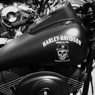 Harley Davidson