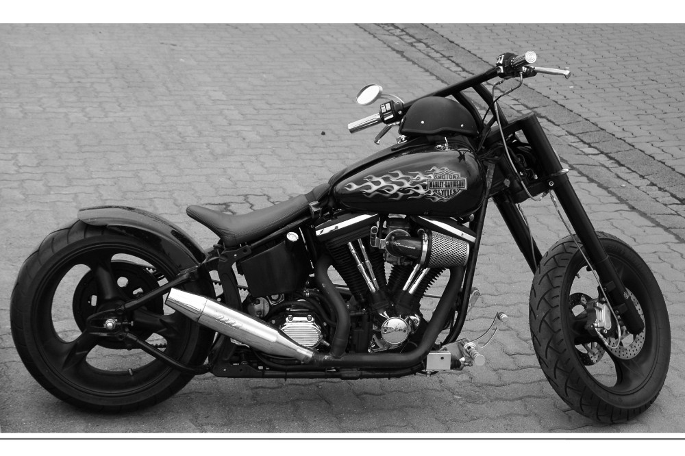 Harley - Davidson