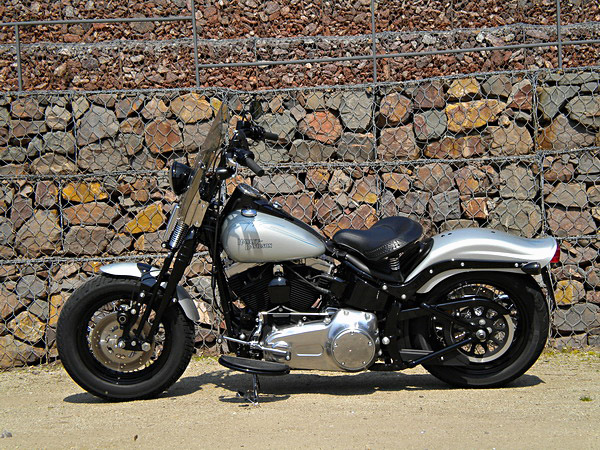 .Harley-Davidson Cross Bones