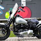 Harley-Davidson Cross Bones