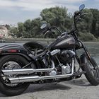 Harley Davidson Cross Bones