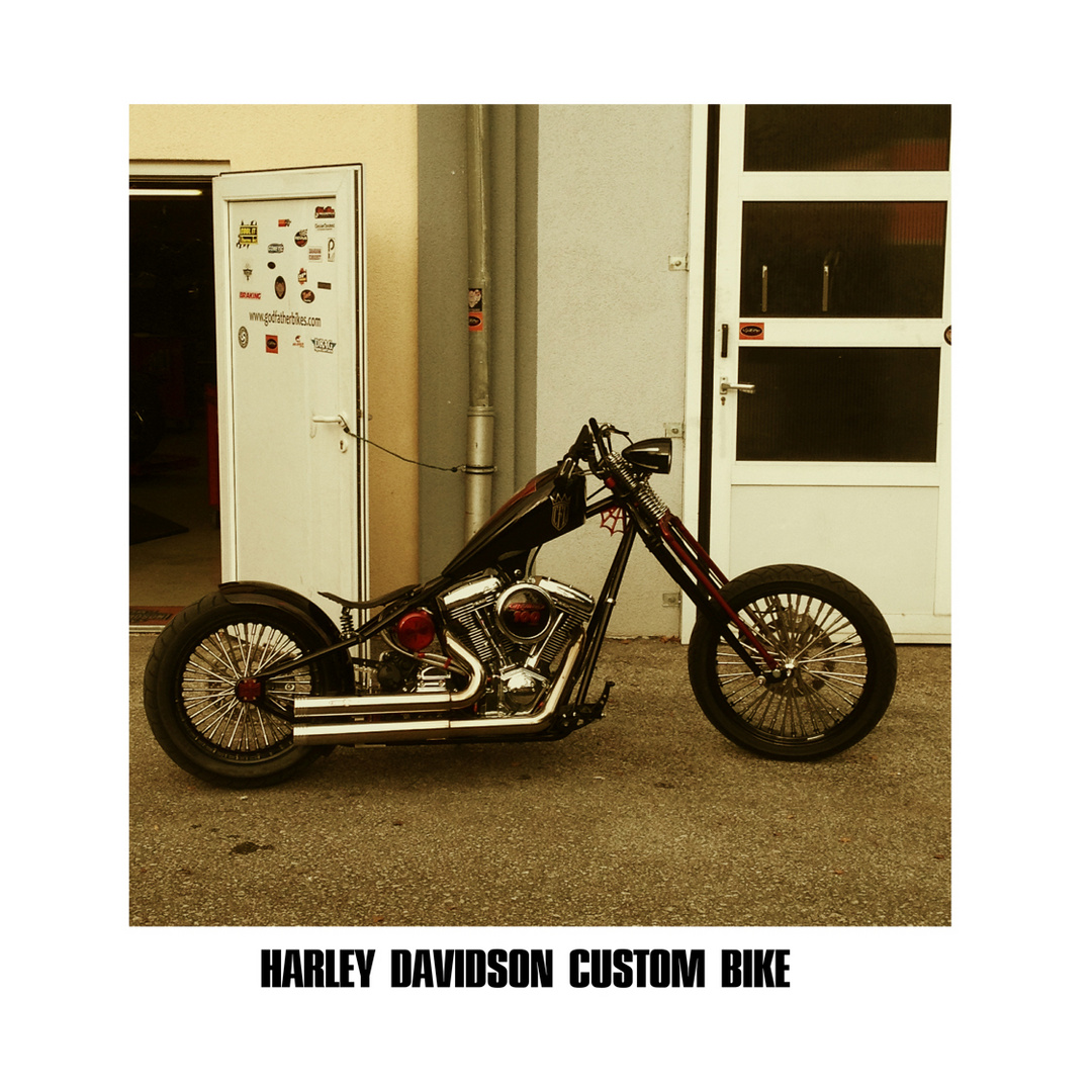 Harley Davidson Custom Bike