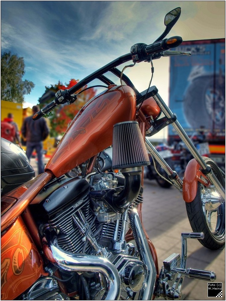 Harley Davidson Custom Bike