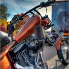 Harley Davidson Custom Bike