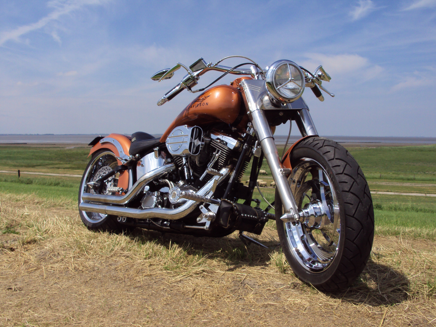 Harley-Davidson Custombike (1)