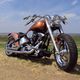 Harley-Davidson Custombike (1)