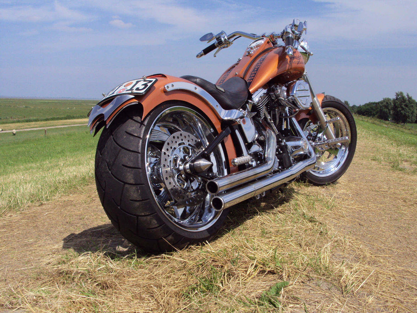 Harley-Davidson Custombike (2)