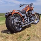 Harley-Davidson Custombike (2)