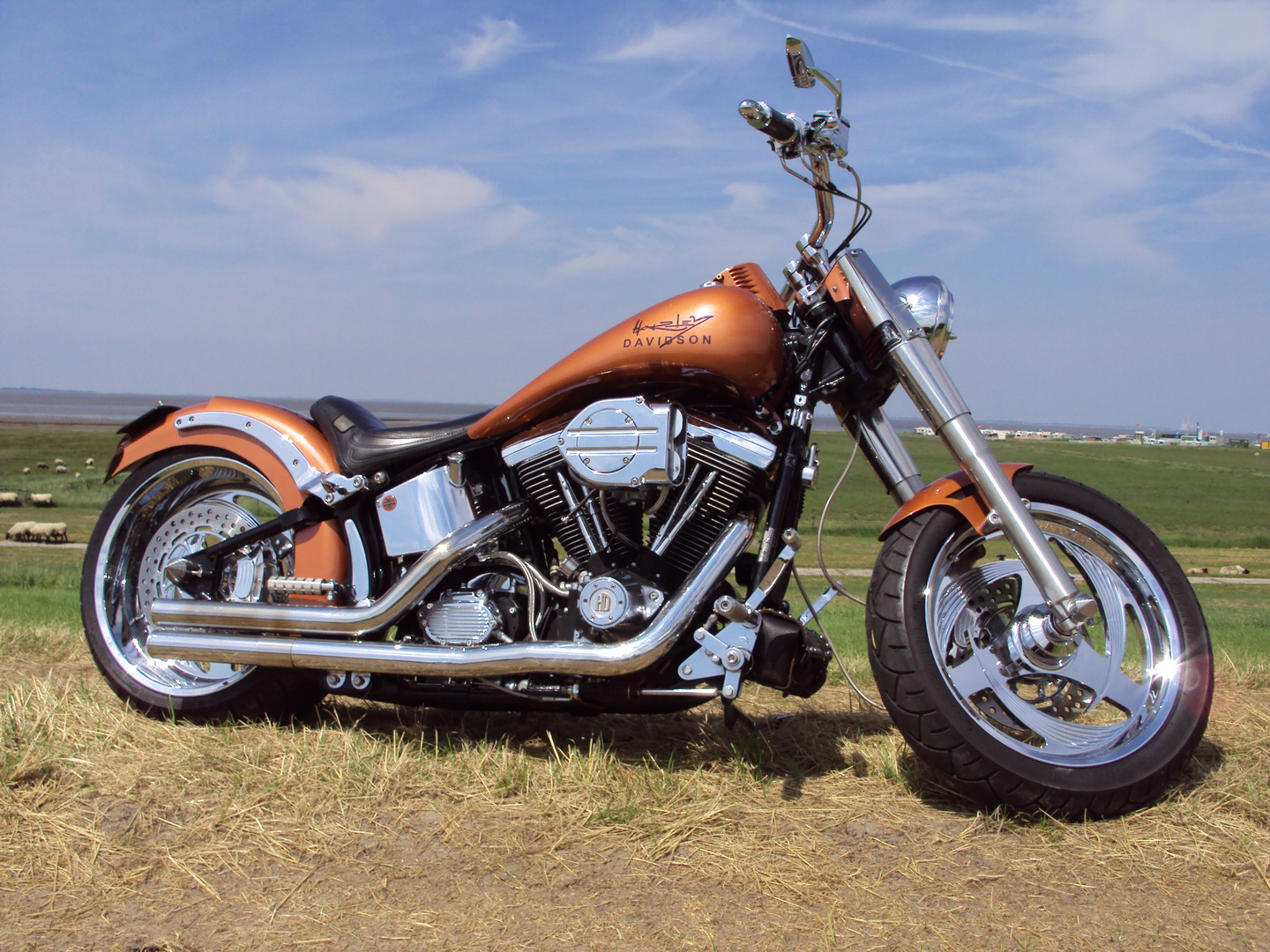 Harley-Davidson Custombike (4)