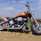 Harley-Davidson Custombike (4)