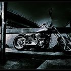 harley davidson