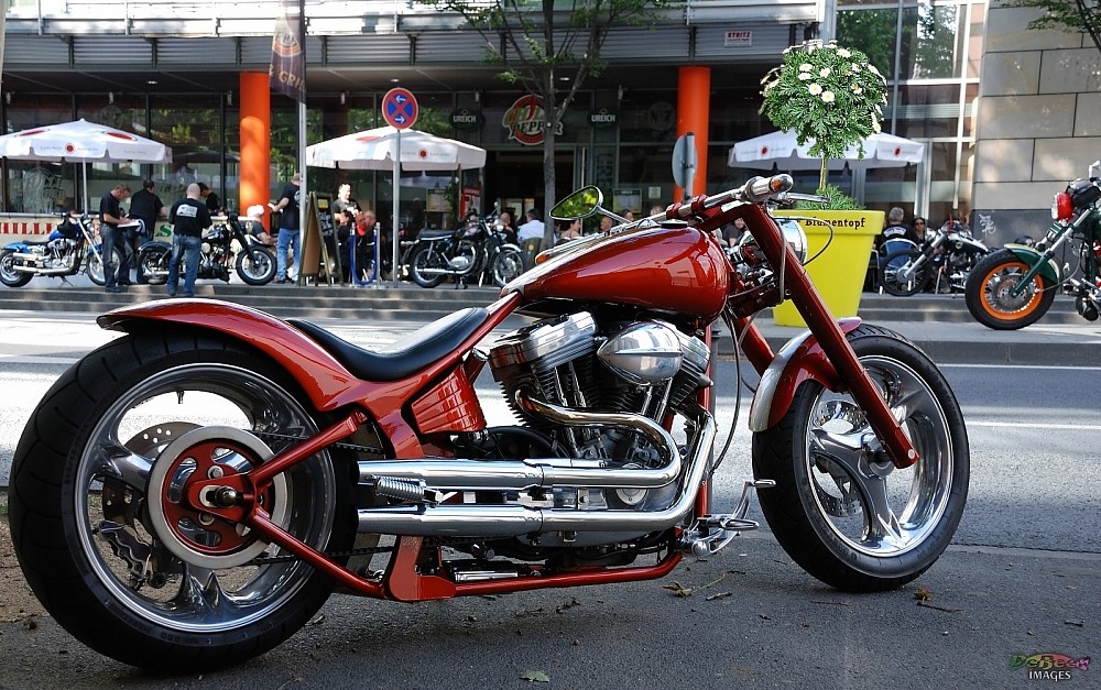 Harley Davidson - das kleine Rote