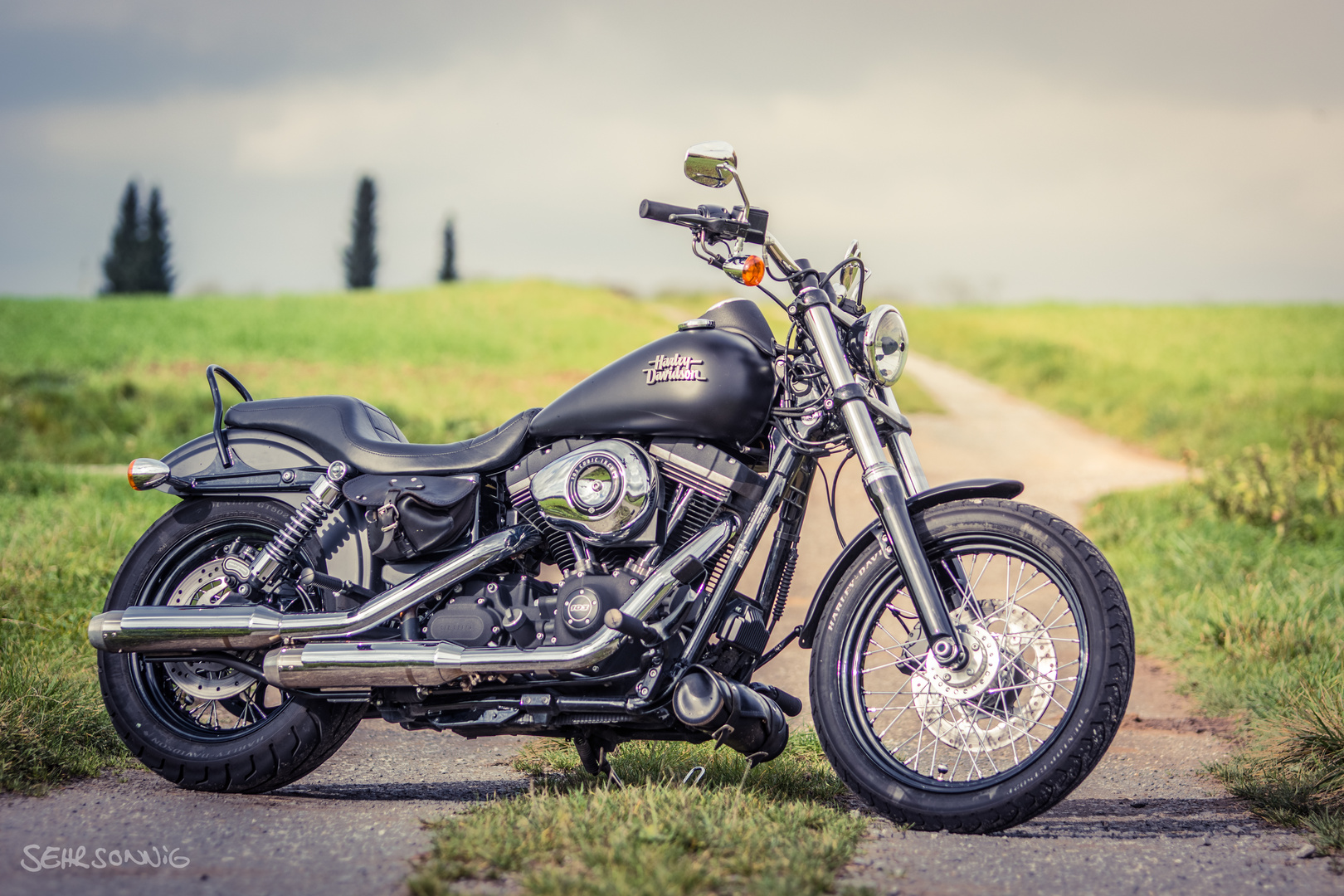 Harley Davidson Dyna