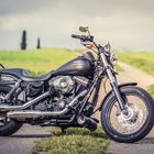 Harley Davidson Dyna