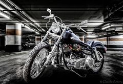 Harley Davidson